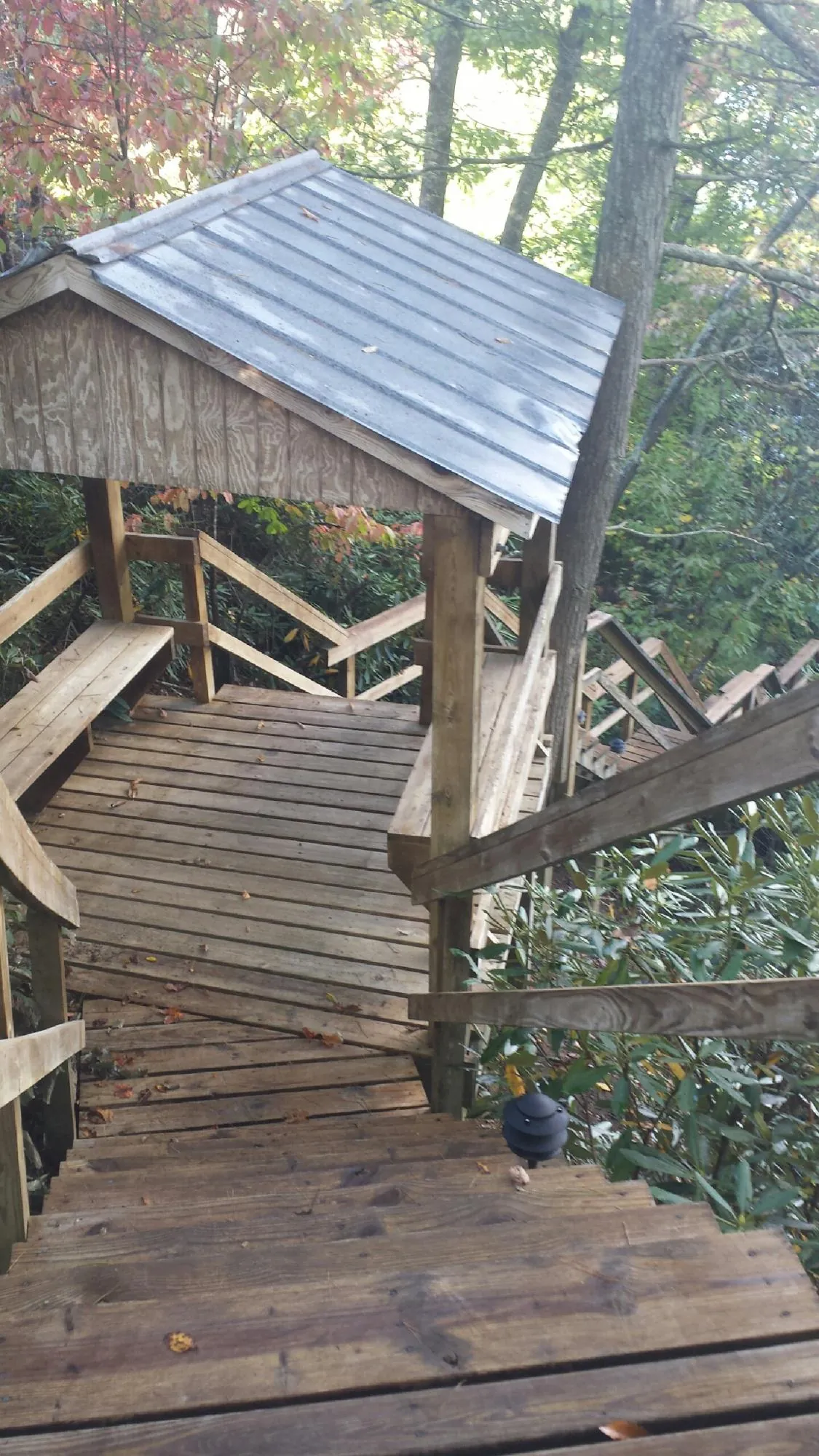 Metal roofed shelter over wooden steps on a wooded walkway in Newmanstown
